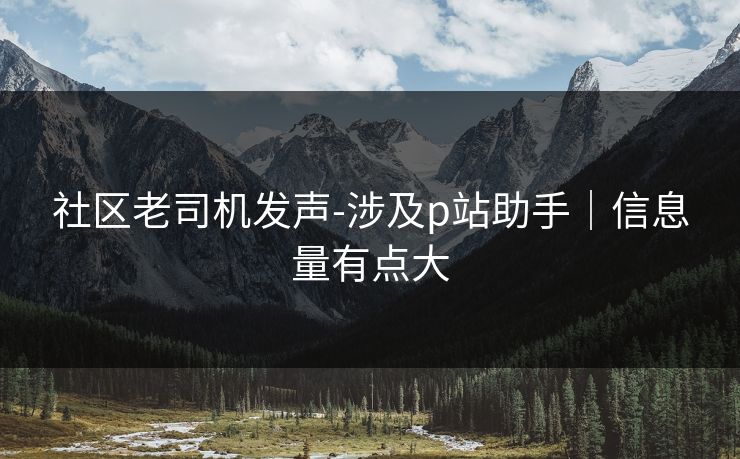 社区老司机发声-涉及p站助手｜信息量有点大